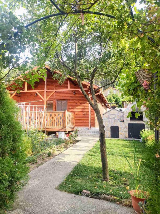 Holiday Home Veli Sapareva Banya Exterior photo